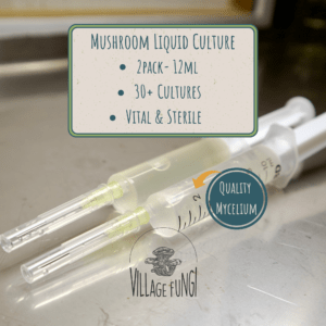 Home 2 pack Mushroom liquid culture syringes with mycelium