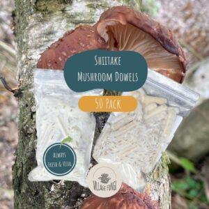 Home Shiitake mushroom dowels in packages over a colonized shiitake log
