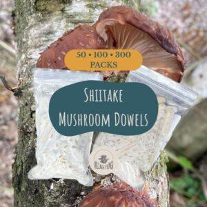 Shiitake Mushroom Dowel Plugs – Fully Colonized Plug Spawn for Log Inoculation