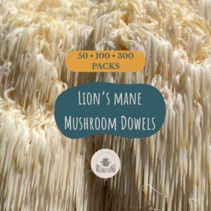 ion's Mane Mushroom Dowel Plugs. ready for inoculating hardwood logs, fully colonised spawn packs for home mushroom growing.