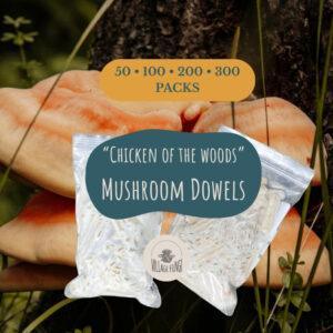 Picture of chicken of the woods mushroom dowel plugs. and thee mushrooms.