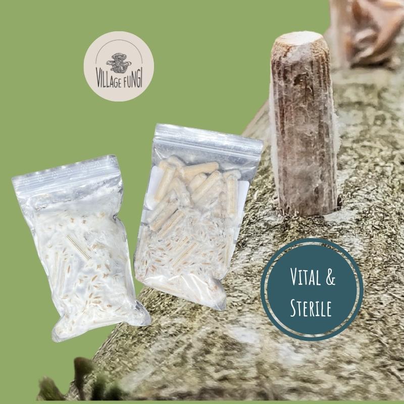 Specialty Mushroom Dowel Plugs – Rare Gourmet & Medicinal Mushroom Cultures Village Fungi Dowel Spawn Bags – Vital & Sterile