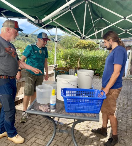 Mushroom growing course in containers